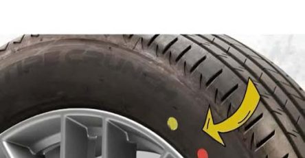 612415971 1439924047702187 8504764735902946869 n