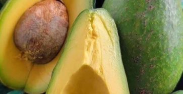 614626207 916762320699760 1790707952328561623 n