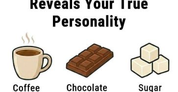 617109715 1296503502534892 1809352181374845227 n