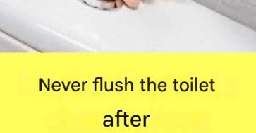 617600181 1616741526353251 5693473097891040765 n