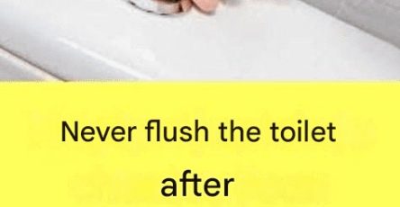 617600181 1616741526353251 5693473097891040765 n