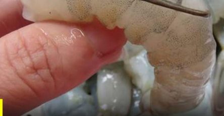 618716044 122204061644371968 4175775101379837308 n