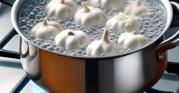 618857877 1947697359961824 7402684489206904505 n