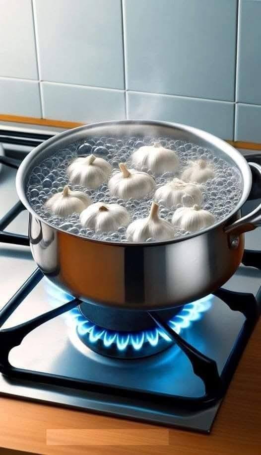 618857877 1947697359961824 7402684489206904505 n