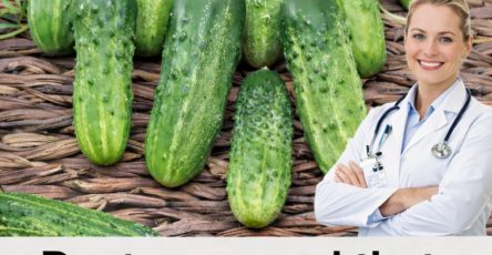 620026835 863368570005858 3302671269513508932 n