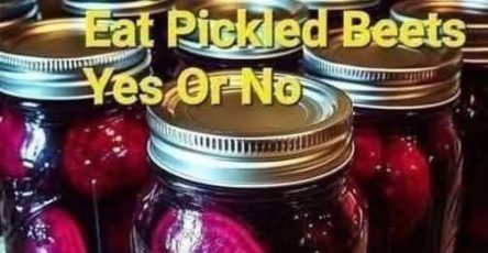 621460890 122274662300073696 7167078103150293412 n