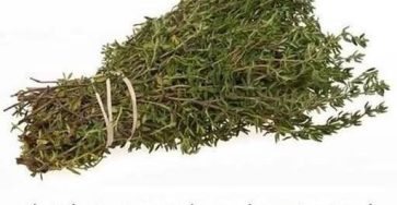 622793262 877858498206060 277945435052158374 n