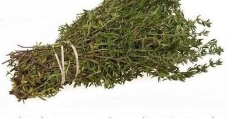 622793262 877858498206060 277945435052158374 n