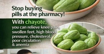 624142995 122122409391053837 3060054291067147953 n