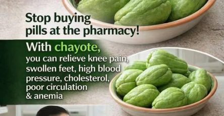 624142995 122122409391053837 3060054291067147953 n