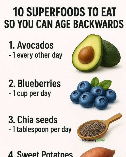 625896947 122111552043199093 7640141148641048788 n