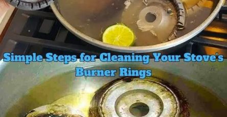 627992088 122197876898499087 462732562686027773 n