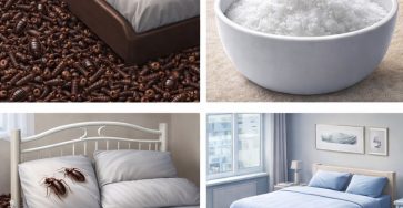 629389137 122290503212035578 5426298736433574820 n