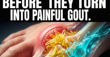 635005419 1351989096961153 4306910613250616724 n