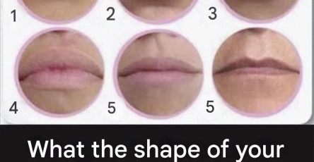 636718978 122208774722567604 4156860576288362954 n (1)