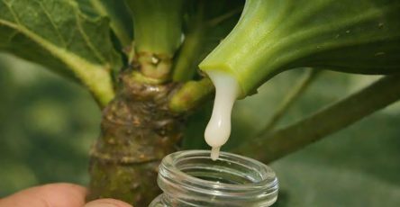 641429948 1348621350635770 2835026732727761842 n