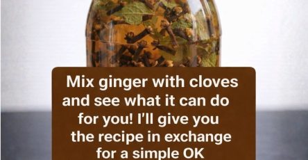 641779909 122159065946819491 8105121029540049603 n