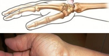 644276338 1481291170232141 413942692086594286 n