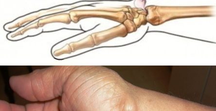 644276338 1481291170232141 413942692086594286 n