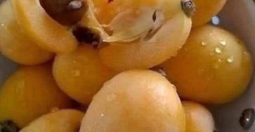 645507748 122242453130137683 8437268684754745759 n