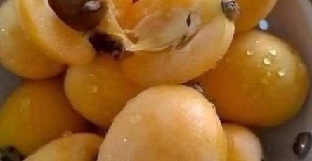 645507748 122242453130137683 8437268684754745759 n