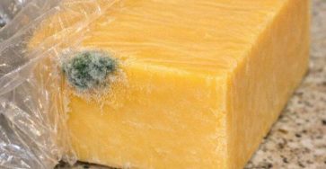 645616870 4494119937579229 4593080292344001529 n