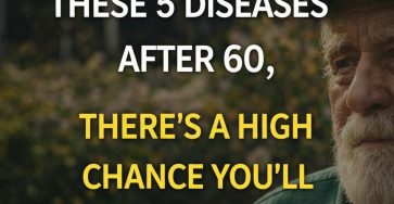 646395069 1487170236135004 525286709769352698 n