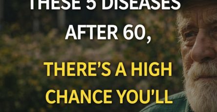 646395069 1487170236135004 525286709769352698 n