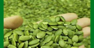 646736780 122293518932196602 1050727428171303071 n