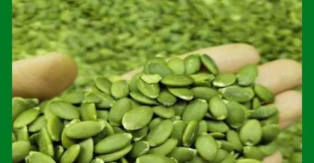 646736780 122293518932196602 1050727428171303071 n