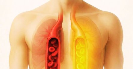 646757401 1365307505629312 7247183189852574743 n