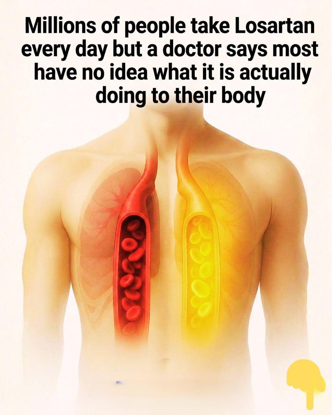 646757401 1365307505629312 7247183189852574743 n