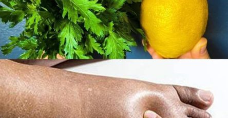 646836303 4447349738923185 4167998095687114397 n