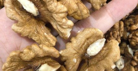 646926785 967760212348971 6338280539698361600 n