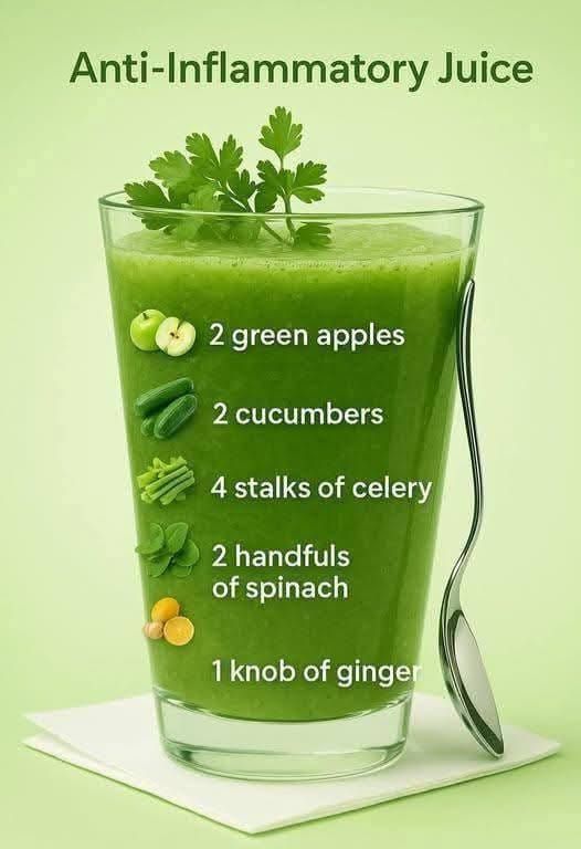 648961189 4451441728513986 7464930296125892536 n