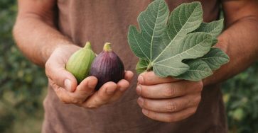 649591980 122095585779118418 892146679050868626 n