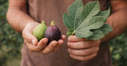 649591980 122095585779118418 892146679050868626 n