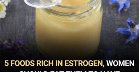 649706043 1459307995559871 7549897590936186520 n