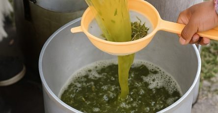 649853449 919619424262886 876230819114412565 n