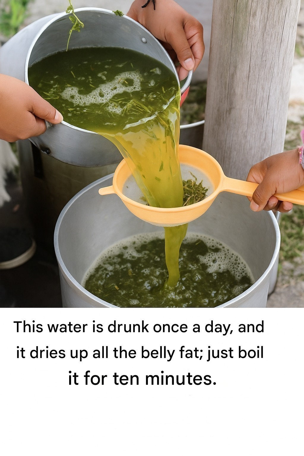 649853449 919619424262886 876230819114412565 n