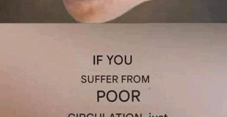 650234366 2435304603586583 6737305788153714096 n