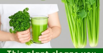 650237026 2435260256924351 2522859046297449440 n