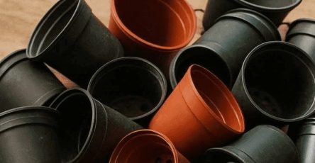 650249242 3967748923515521 4771837975066135811 n