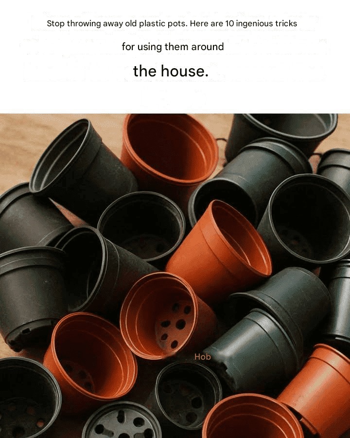 650249242 3967748923515521 4771837975066135811 n