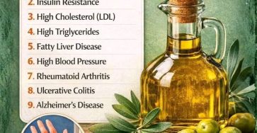 650391169 2434182840365426 733669391996982076 n