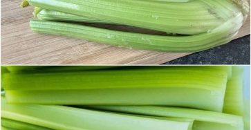 651297091 4456746557983503 8411864638085903853 n