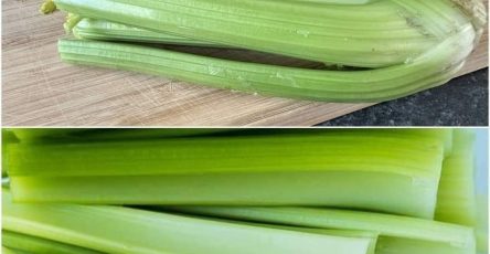 651297091 4456746557983503 8411864638085903853 n