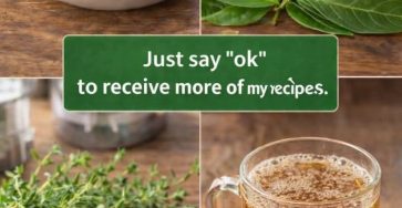 651335292 4457068001284692 1696831123558021215 n