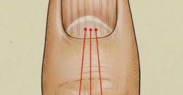 651706092 4454646638155422 8339100348654093899 n