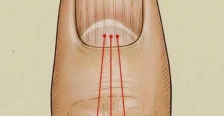 651706092 4454646638155422 8339100348654093899 n